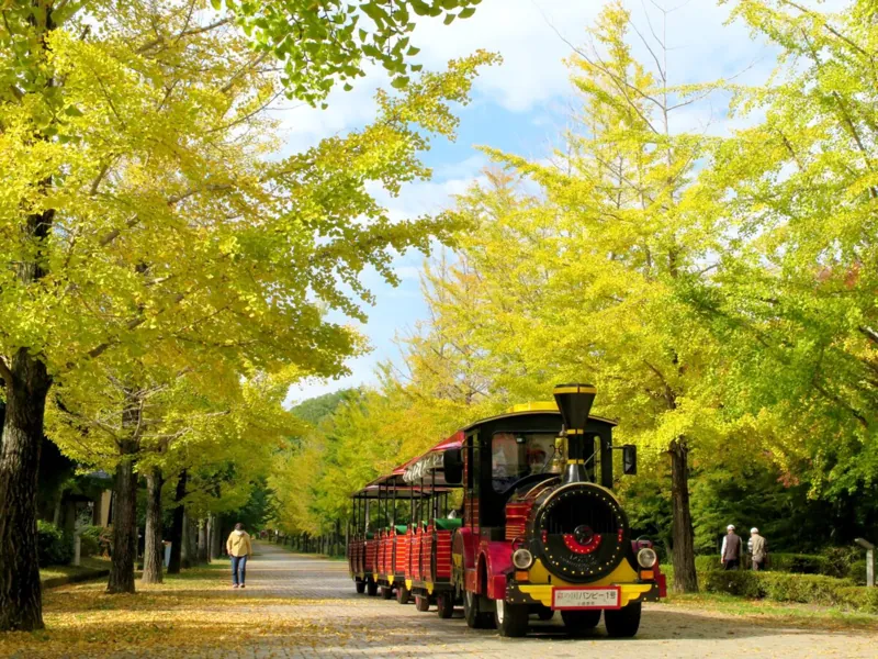 秩父ミューズパーク