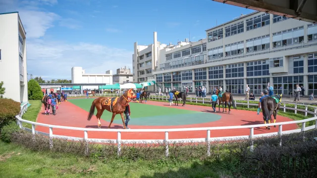 金沢競馬場 3