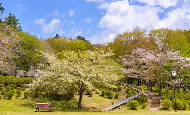 三和ふるさとの森