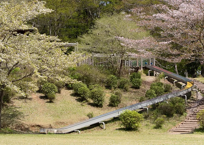 三和ふるさとの森 2