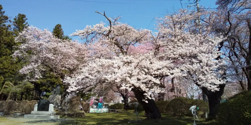 水沢公園