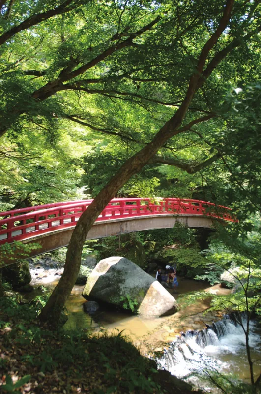 岩屋堂公園