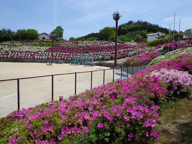 雨山文化運動公園