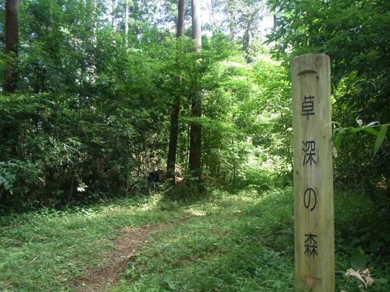 草深の森