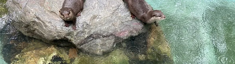高知県立のいち動物公園 2