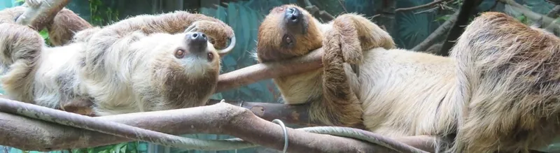 高知県立のいち動物公園 3