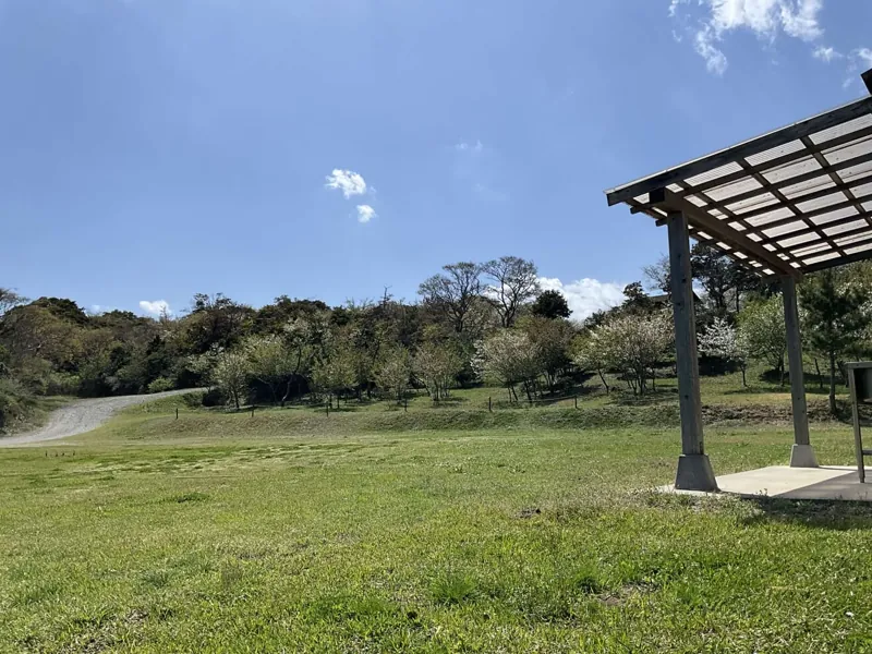 田の上キャンプ場 3