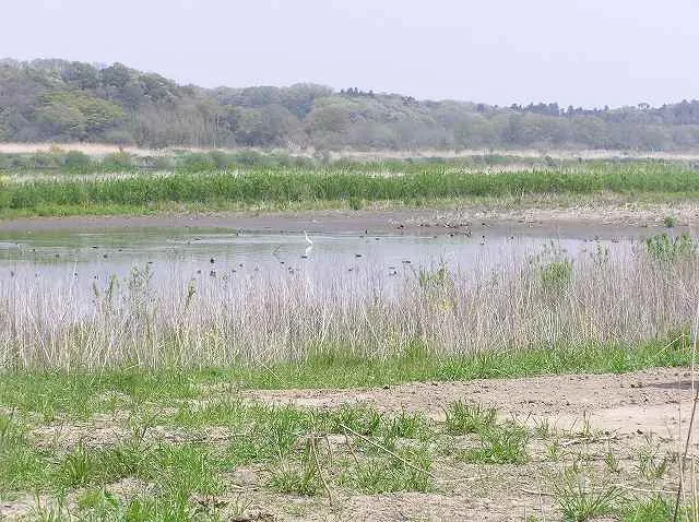 利根川ゆうゆう公園