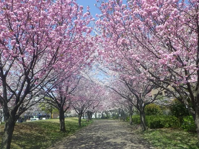 宇喜田公園