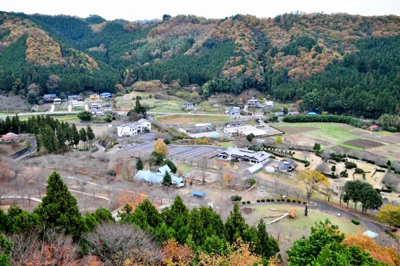 やすらぎの里公園 2