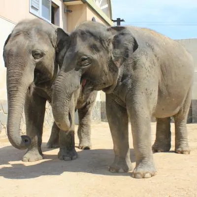 周南市徳山動物園