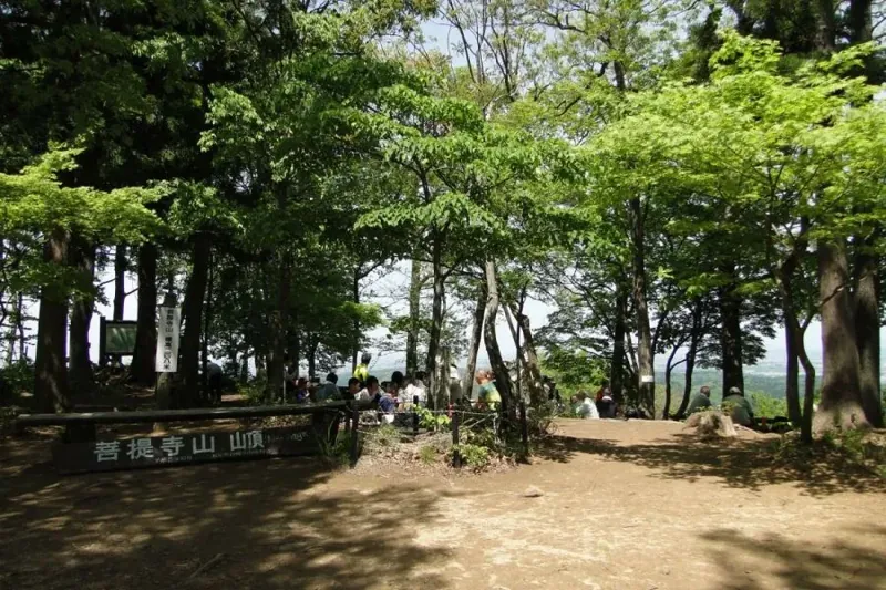 菩提寺山