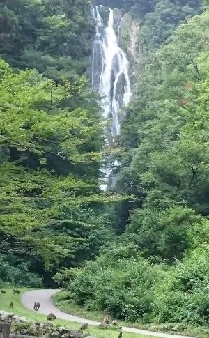 神庭の滝