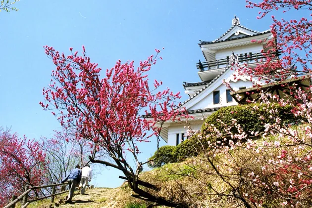 牛伏山