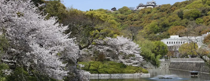 城山公園 堀之内地区