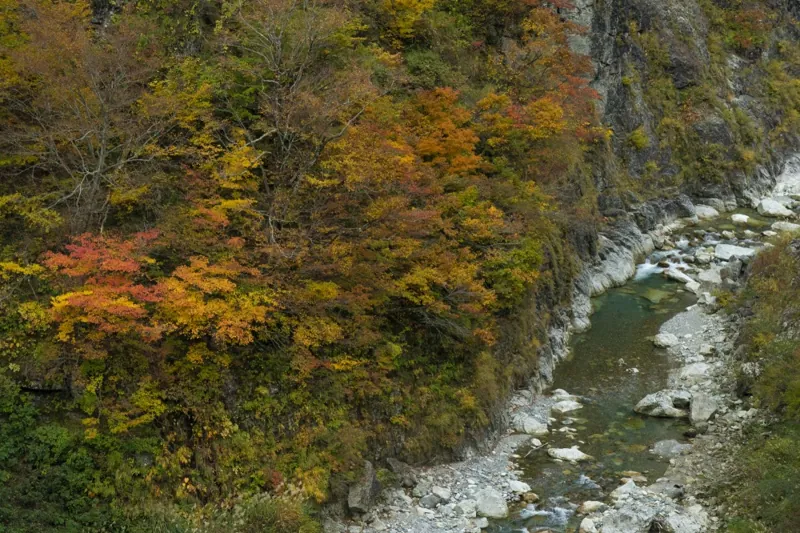 白山白川郷ホワイトロード