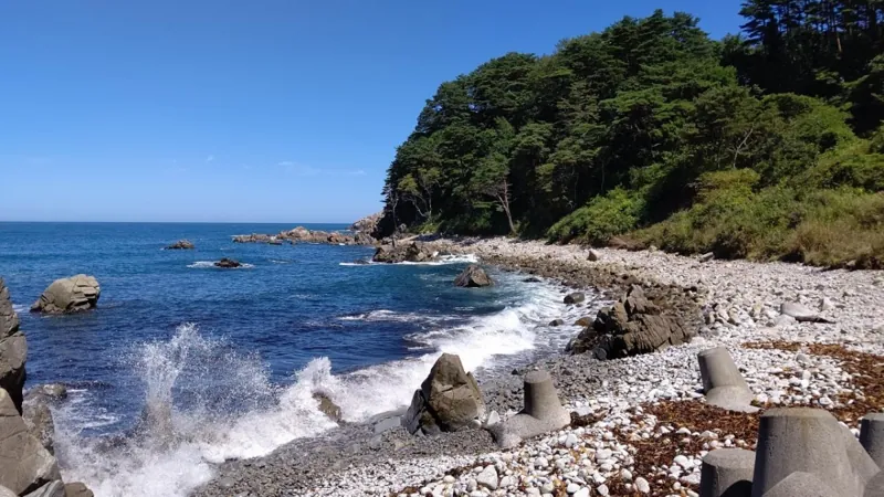 まついそ公園