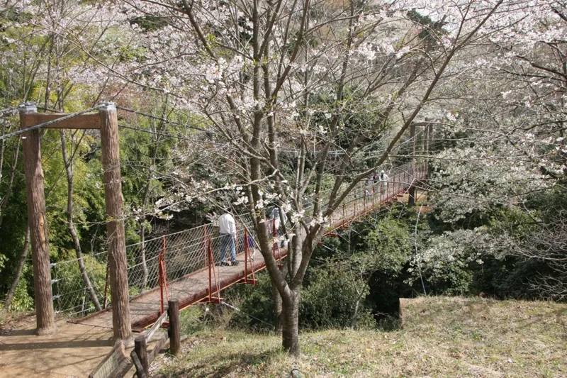 駿河平自然公園 1