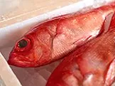 もとや魚店 1