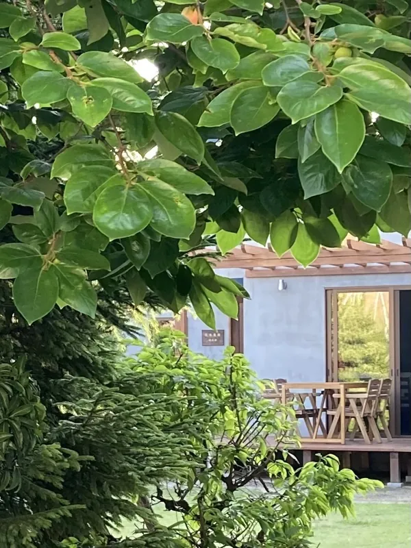 丸米農園 喫茶部