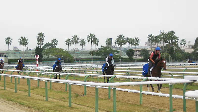 JRA宮崎育成牧場(馬のいる公園)