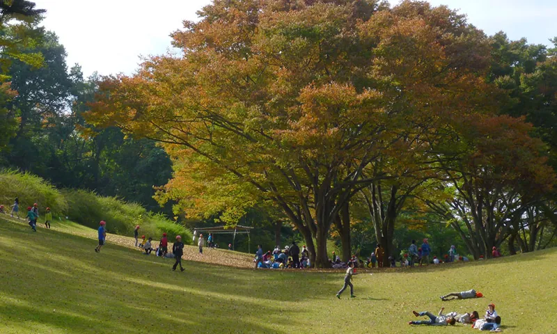 仙台市野草園