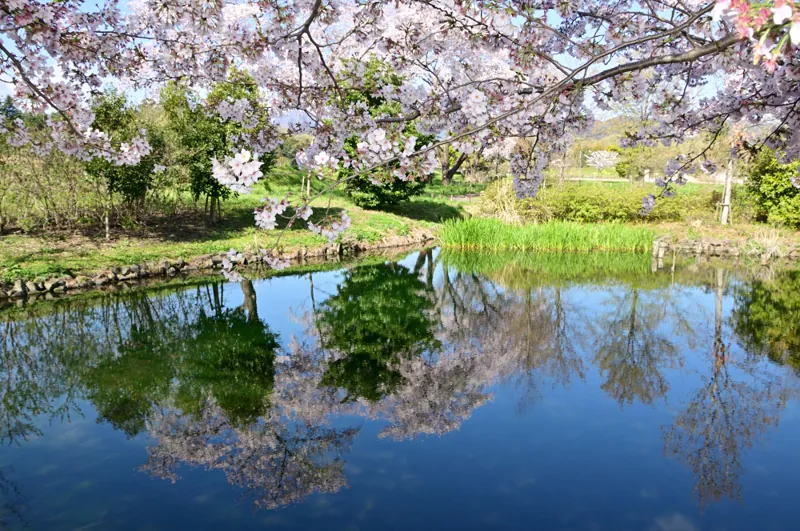 広町公園