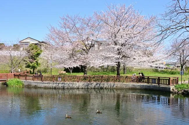 広町公園 2