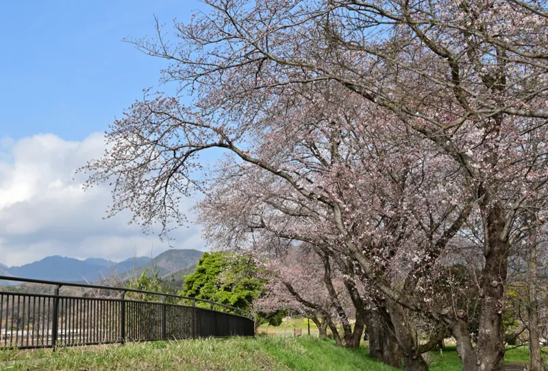 広町公園 3