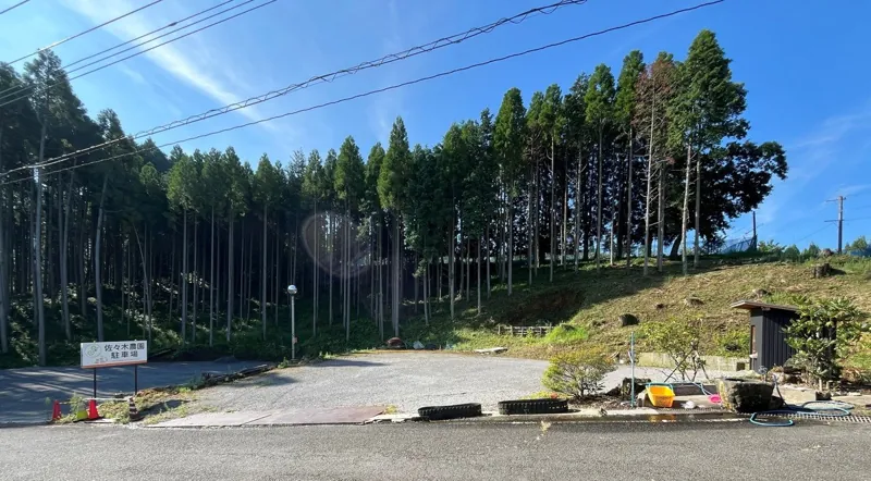 梨狩り 佐々木農園(豊水受付) 3