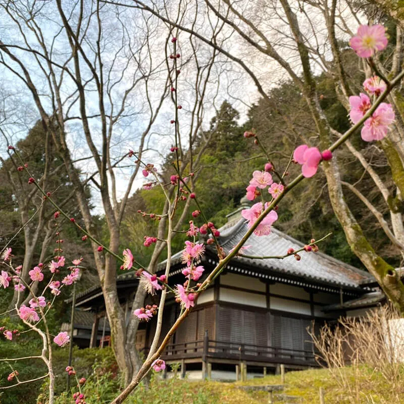 久安寺