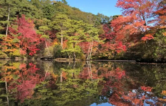 神戸市立森林植物園