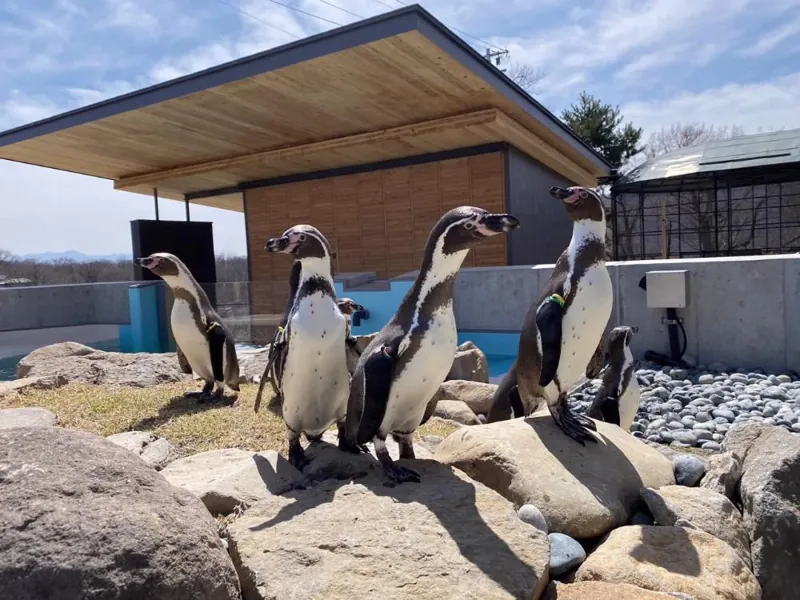 小諸市動物園