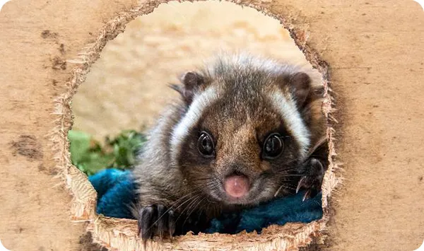小諸市動物園 3