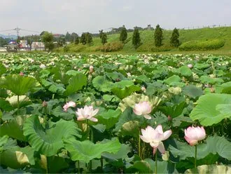 千栗土居公園 2