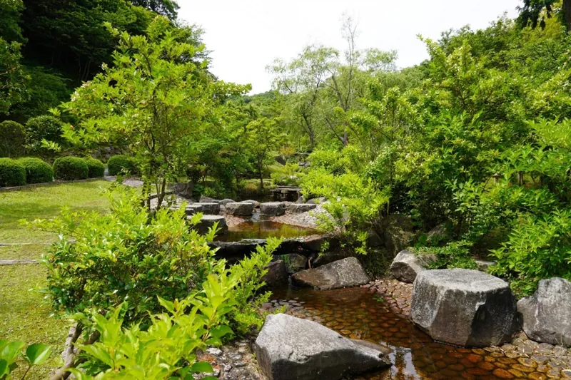 とっとり出合いの森