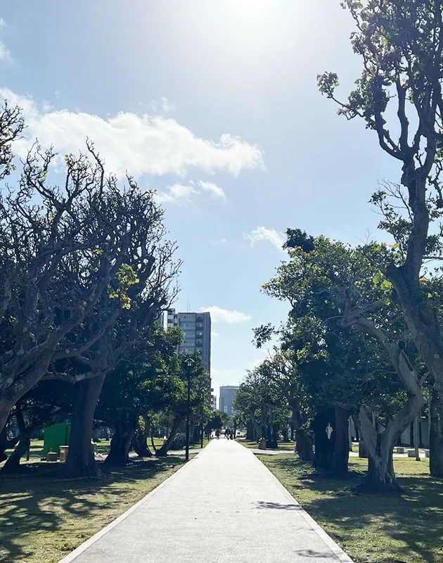 新都心公園
