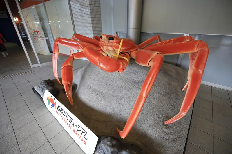 越前がにミュージアム