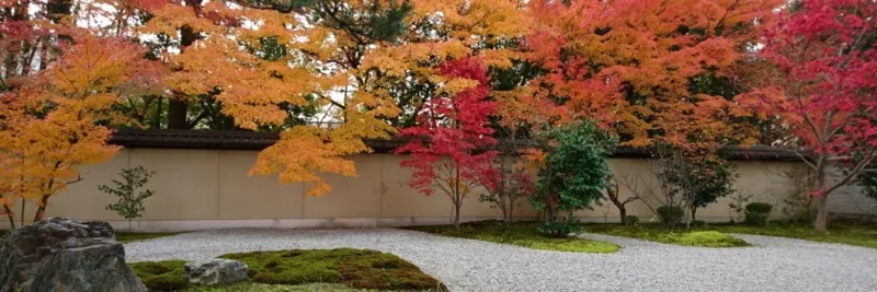 廬山寺 2
