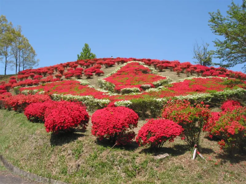 丸岡公園