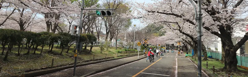 根岸交通公園