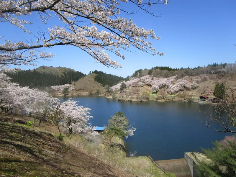 八塩いこいの森
