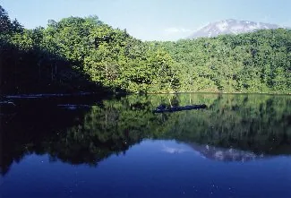 半月湖畔自然公園 3