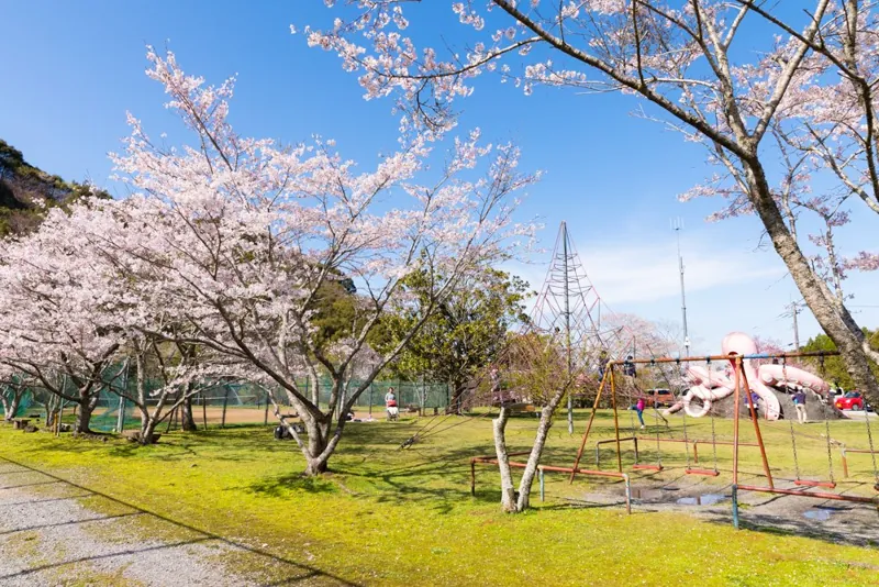 龍王公園（タコ公園） 2