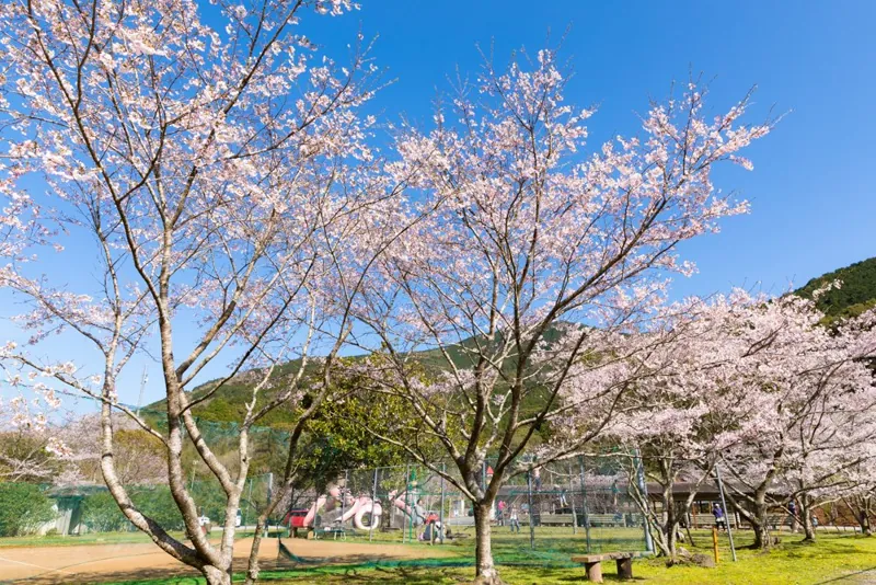 龍王公園（タコ公園） 3