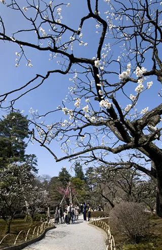 兼六園