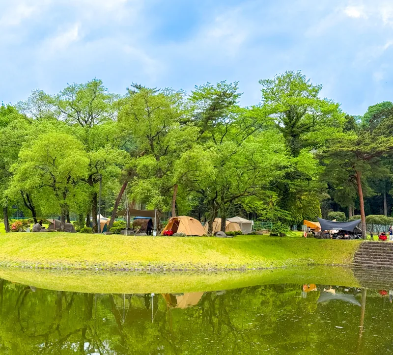 鳥野目河川公園オートキャンプ場 2