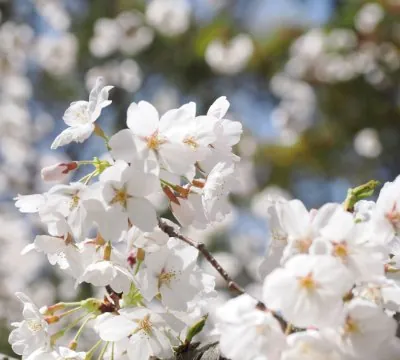 花農丘公園・北九州市立総合農事センター 2