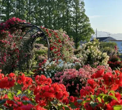 花農丘公園・北九州市立総合農事センター 3