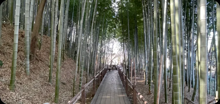 見沼通船堀公園